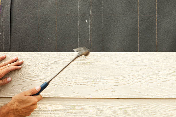 Best Stucco Siding  in Detroit Beach, MI